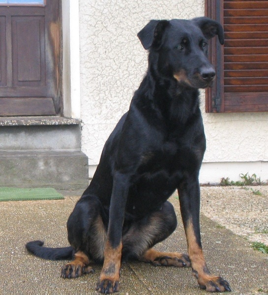 Hivère la Duchesse de la Fosse